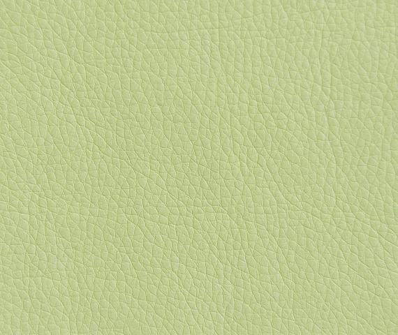 Oregon 33/Металл Хром